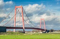 Hangbrug bij Emmerich am Rhein (D)