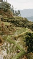 Friedliche Berglandschaft mit Reisterrassen in Guizhou, China