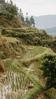 Rustig berglandschap met rijstterrassen in Guizhou, China