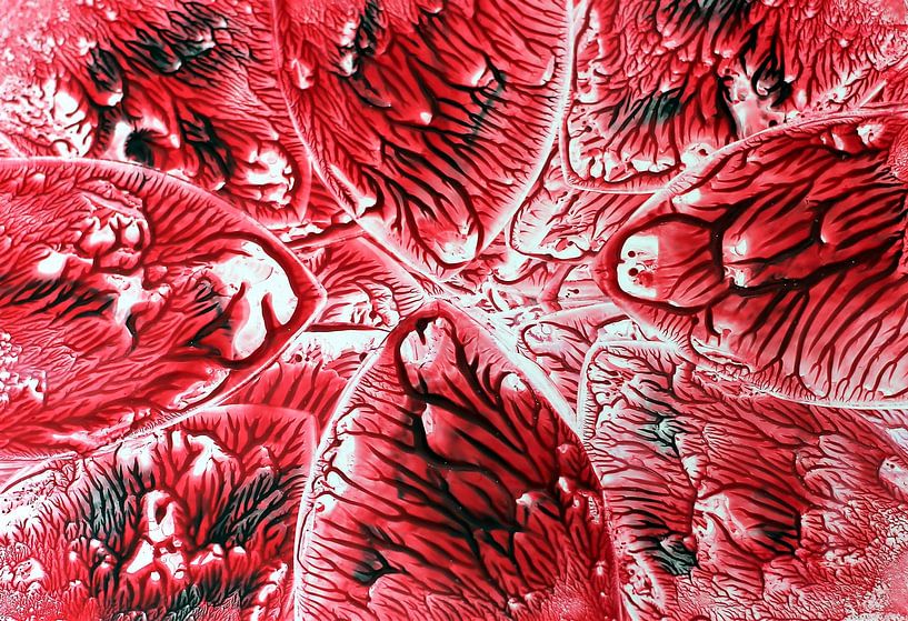 Peinture à l'encaustique par Rosa Fotoart