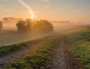 Dijklandschap op een mistige ochtend