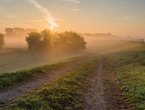 Dijklandschap op een mistige ochtend