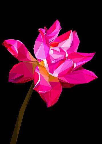 Roze rode lotusbloem laagpolig