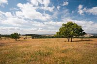 Peaceful Danish countryside