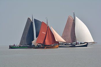 Colourful sails