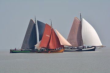 Kleurrijke zeilen van Leo Tholens