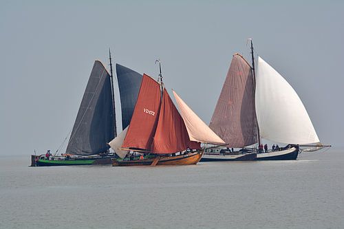 Des voiles colorées