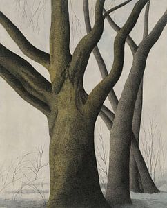 Léon Spilliaert - Großer Baum (1945)