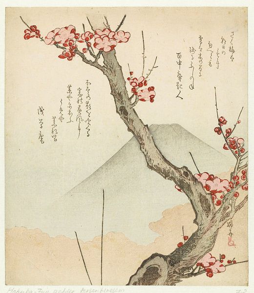 Berg Fuji und eine blühende Pflaume, Teisai Hokuba, um 1825 von Creative Masters