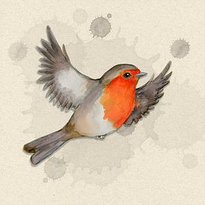 Eine Aquarellzeichnung eines fliegenden Rotkehlchens