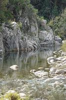 Calm in river Cavu Corsica