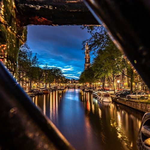 True the eye of a bike.