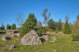 sweden 601 by Geertjan Plooijer