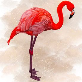 Flamenco Rosa sur Natascha Dokter