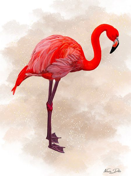 Flamenco Rosa par Natascha Dokter