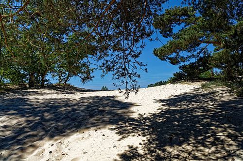 Dunes de Drunense