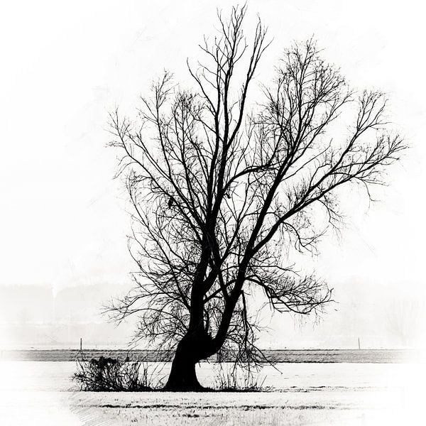 Het leven en de dood in een eenzame boom van Art by Jeronimo