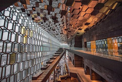 Bibliothèque de Reyjavik