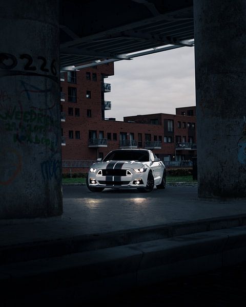 Ford Mustang von Jaimy van Asperen