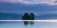 Île dans le lac de Brienz par Henk Meijer Photography Aperçu