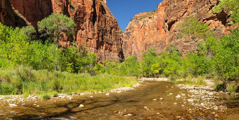 Riverside Walk in Zion National Park van Markus Lange