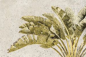 Palmen. Tropischer botanischer Druck. Grafik.