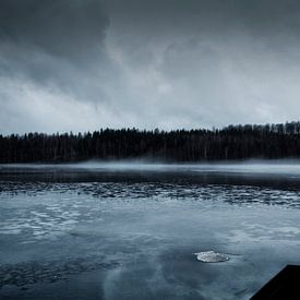 Schwedischer See von Cor Ritmeester