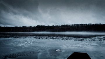 Swedish Lake by Cor Ritmeester