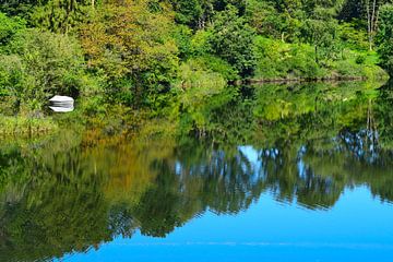 Reflection in perfect mirror water of green nature, white boat and clear blue sky by Studio LE-gals