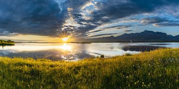 Zonsopgang bij Forggensee, Ostallgäu, Allgäu, Zwaben, Beieren, Duitsland van Walter G. Allgöwer