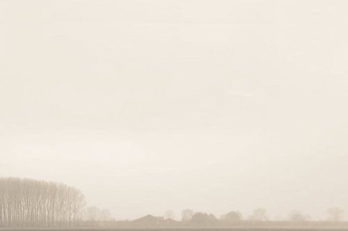 landscape minimalism