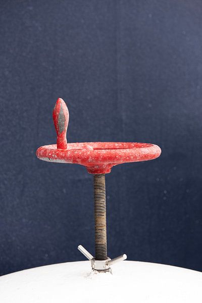 Quiet movement and power by Margot van den Berg