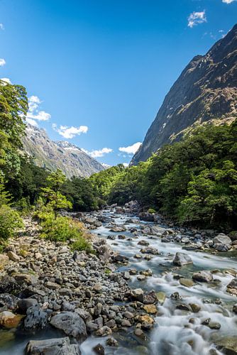Wild water current Milford Sound, New Zealand