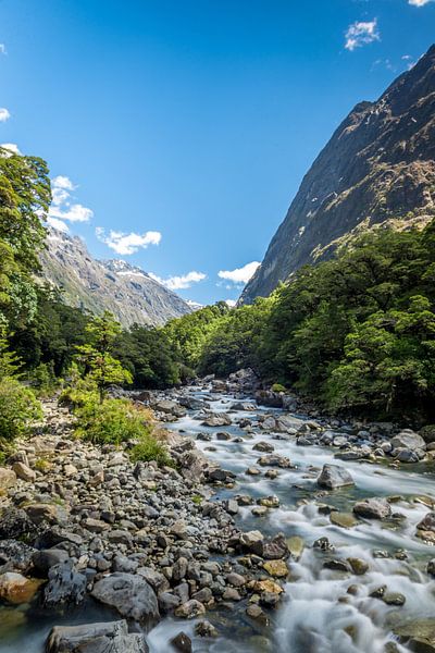 Wild water current Milford Sound, New Zealand by Troy Wegman