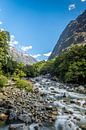 Wild water current Milford Sound, New Zealand by Troy Wegman thumbnail