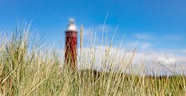 Gros plan sur l'herbe de la plage avec le phare sur Percy's fotografie