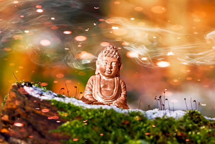 Buddha in the light by Martina Weidner