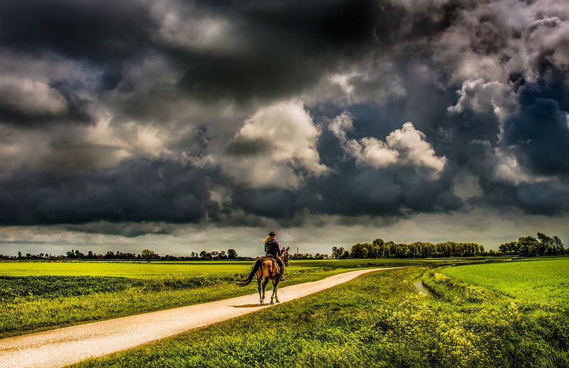 Paardrijden op t Friese platteland von Harrie Muis