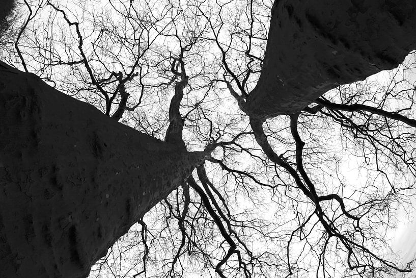 Heure d'hiver par Thomas Jäger