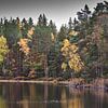 Herbst in Schweden 6 von Geertjan Plooijer