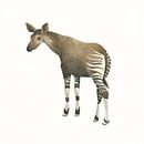 Okapi by Marieke Nelissen thumbnail