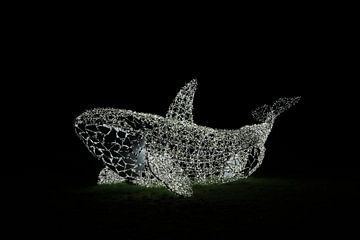 Walvis van sprookjesverlichting