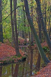 Leuvenemse Beek Gelderland von Dick Hoogenboom