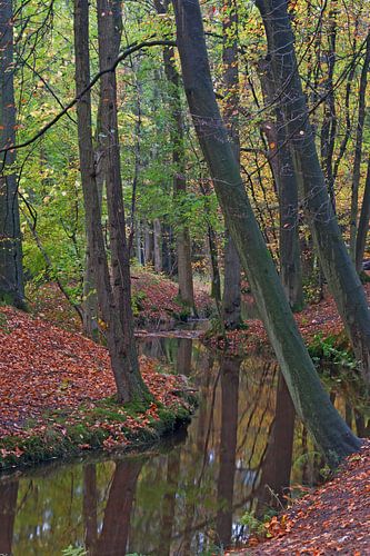 Leuvenemse Beek Gelderland