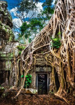 Grabräuber, Tempel Ta Prohm, Kambodscha von Rietje Bulthuis