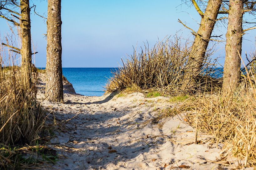 Strand an der Ostseeküste bei Graal Müritz van Rico Ködder