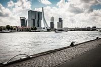 Langs de Nieuwe Maas in Rotterdam