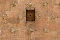 Het huis met de schelpen - Salamanca Spanje van Hannie Kassenaar thumbnail