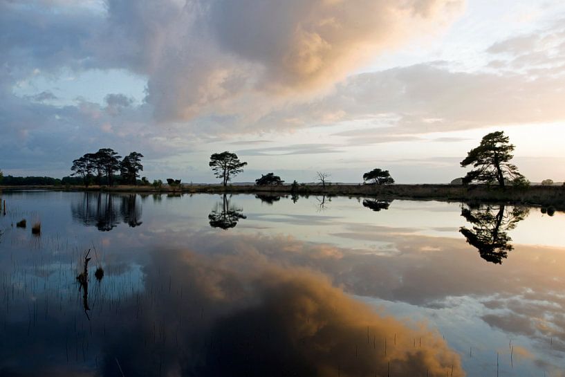 Torfmoor Dwingelderveld von Ronald Wilfred Jansen