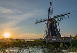 Der Helfer von Roland's Foto's